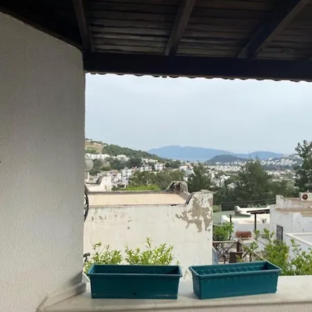 Cheerful Bodrum